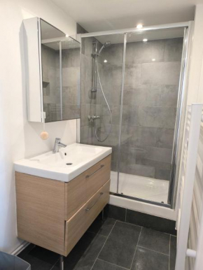 Appartement F1 Centre Ville